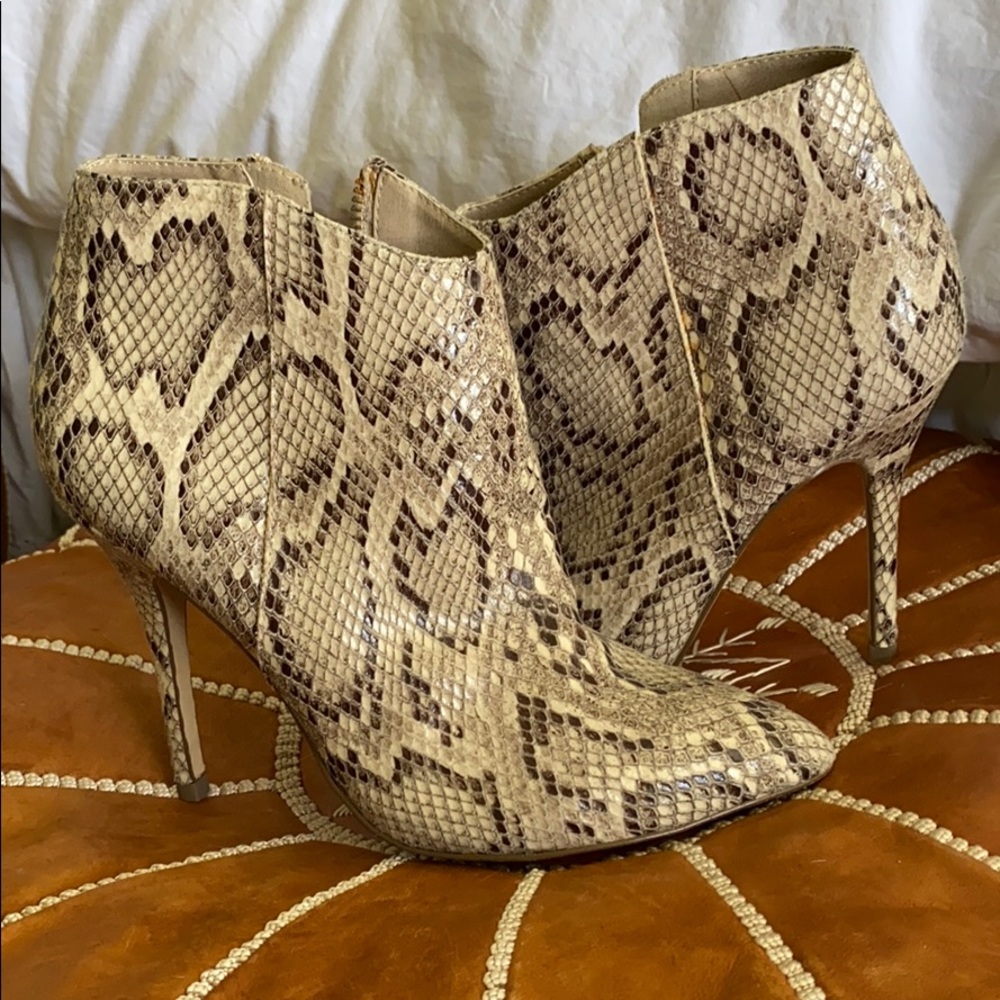 Steve Madden Snakeskin Booties w Heel
